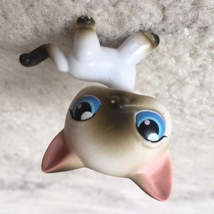 Meet your Posher, Lora